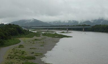 NEXCO西日本　高知道仁淀川橋耐震補強で既設支承を残置しつつ新設支承を設置