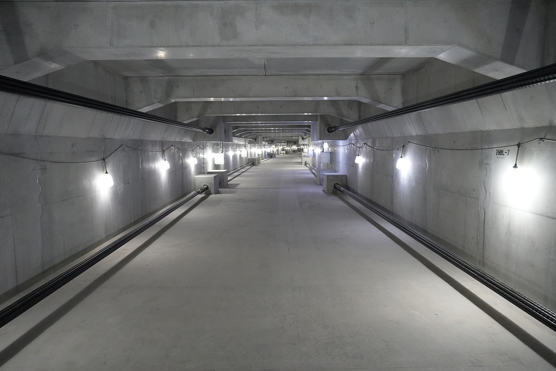 首都高速道路　1号羽田線 東品川桟橋・鮫洲埋立部にみる段階更新と恒久足場